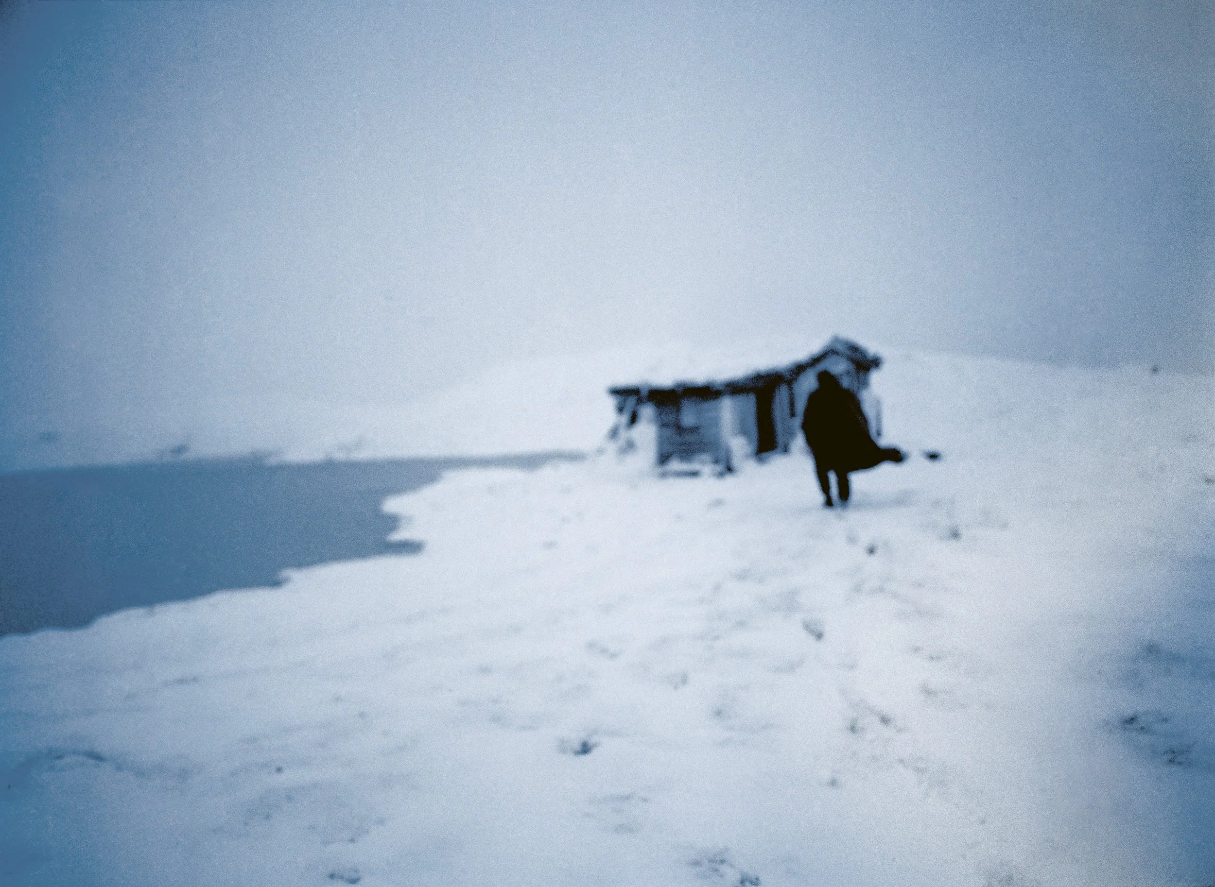 True Norwegian Black Metal — Peter Beste